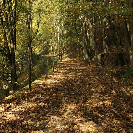 Alba Lichtenberg (Bavaria)