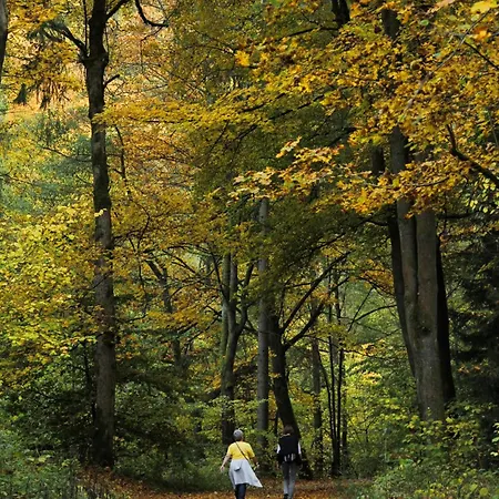 Alba * Lichtenberg (Bavaria)