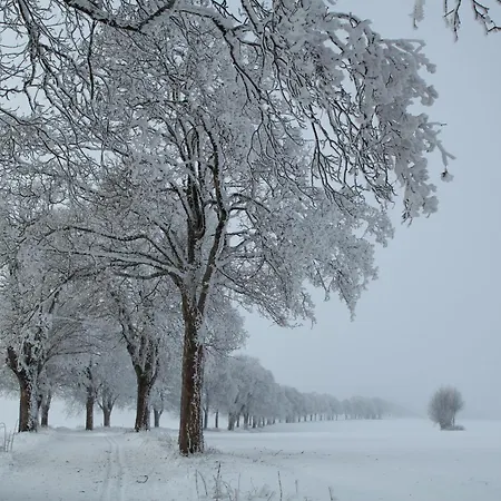 Alba Lichtenberg (Bavaria)