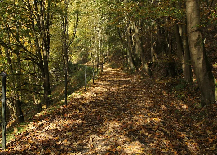 Alba Lichtenberg (Bavaria)