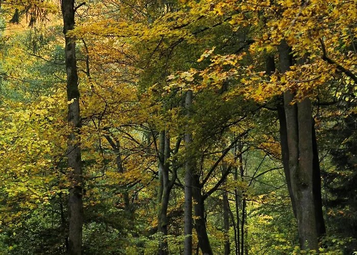 Alba * Lichtenberg (Bavaria)
