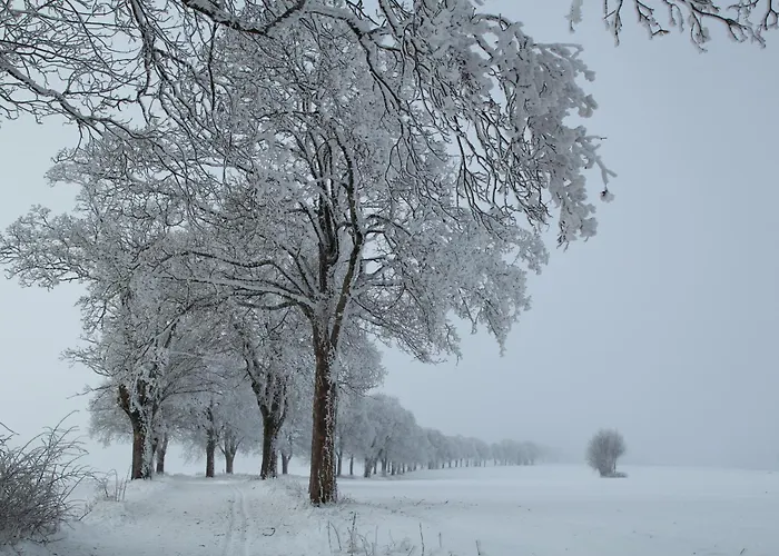 Alba Lichtenberg (Bavaria)